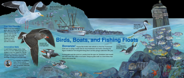 Boats and Birds in Interpretive Panels